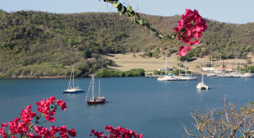 travel risk map MedAire