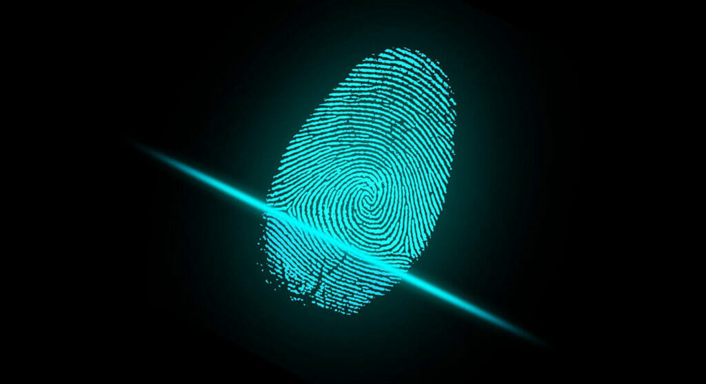 CrewPass does background checks on superyacht crew