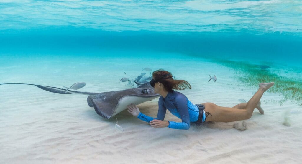 OceanR and UOcean are joining for a carbon offset program