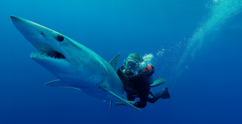 Guy Harvey: The Documentary is educational